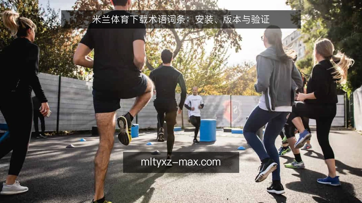 米兰体育下载术语词条：安装、版本与验证